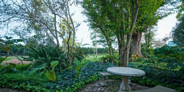 Lupus Den Country House B&B Sunland Exterior foto